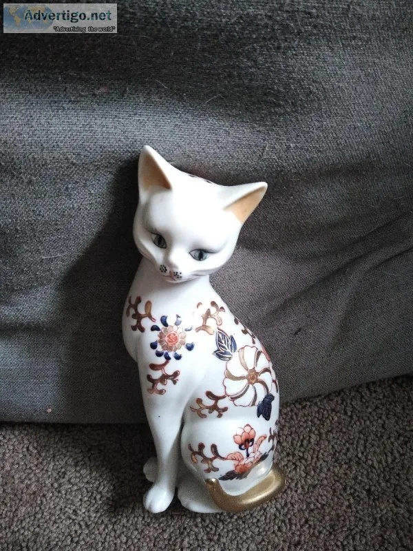 Toyo cat