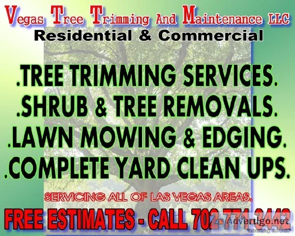 LAS VEGAS TREE TRIMMERS AND YARD CLEAN UPS  CHEAP ESTIMATES