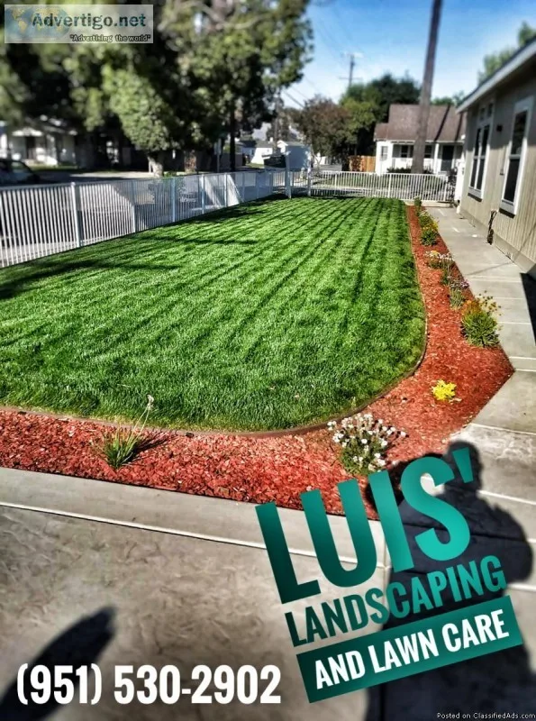 Luis  Landscaping and Gardening Services