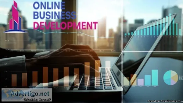 Affordable Internet Marketing and online business development