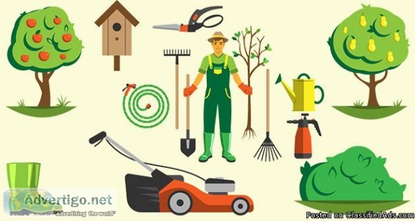 Charlotte Tree Service  Tree Removal Service Charlotte  Tree Tri
