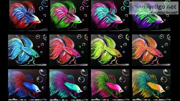 Sacramento Studio 51 Betta Fish Wine Down Wednesday  5 Off