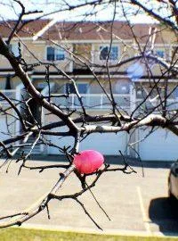 End Unit Townhouse For Rent
