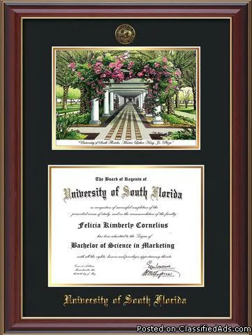 University of South Florida Diploma Frames  Get 15% Discount