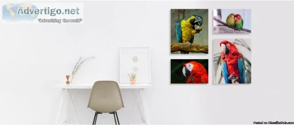 Best Canvas Printing Services to Look For in a Printing Company