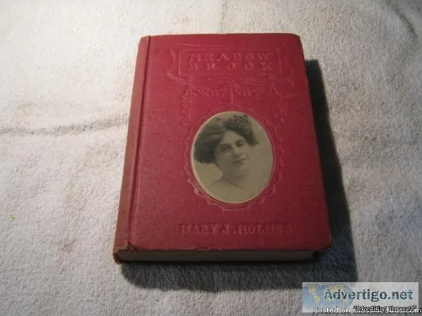 Meadow Brook by Mary J. Holmes