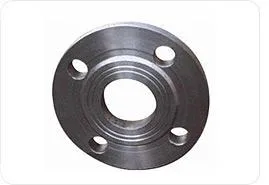 CARBON STEEL FLANGES SLIP ON FLANGES MANUFACTURER SUPPLIER IN IN