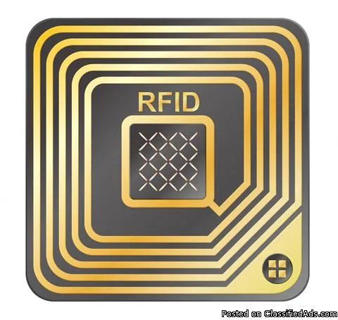 RFID Tag Exports