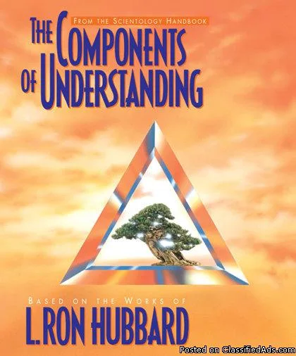 THE COMPONENTS OF UNDERSTANDING