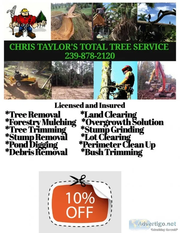 FULL TREE SERVICE REMOVALTRIMMING GRINDING LOT CLEAR DIRT WORK