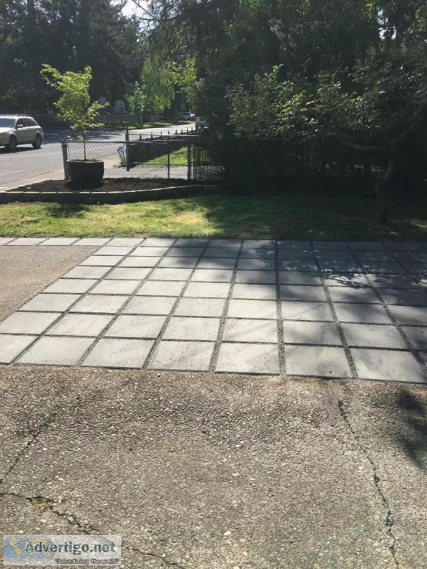 Lawn service to Full Yard Cleanups