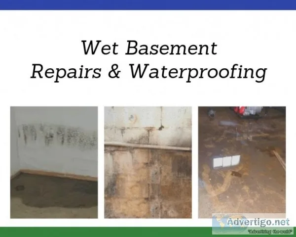 GOT A WET BASEMENT  MUSTY ODORS