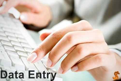 Debtor Data Form Filling Process