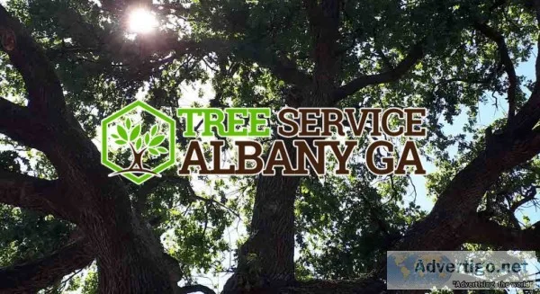 A to Z Tree Care