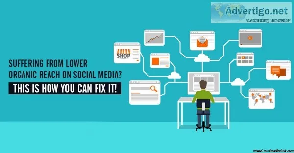 Social Media Advertising Service