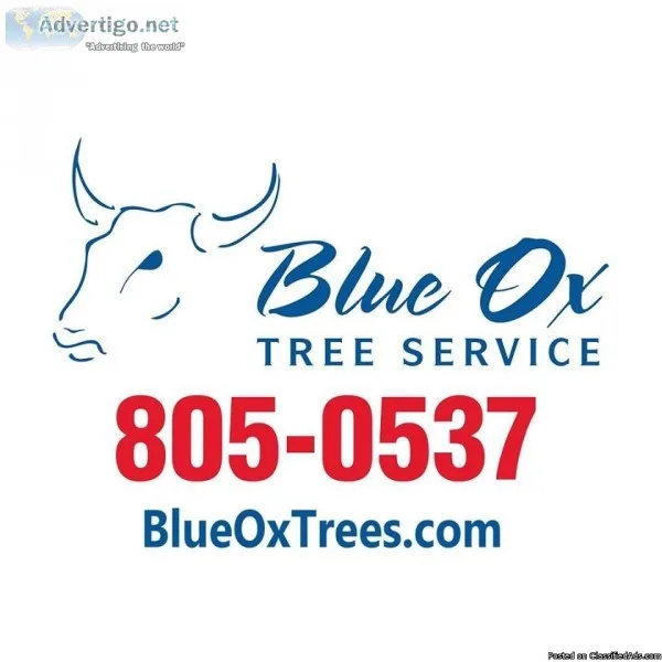 Tree Removal Cost Lincoln NE