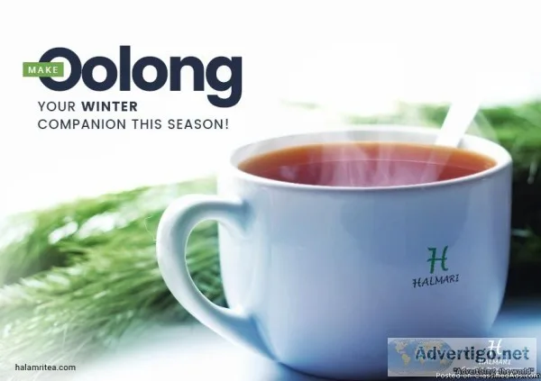 Oolong&nbspTea&nbsp Bags UK From Halmari Tea Online Store.