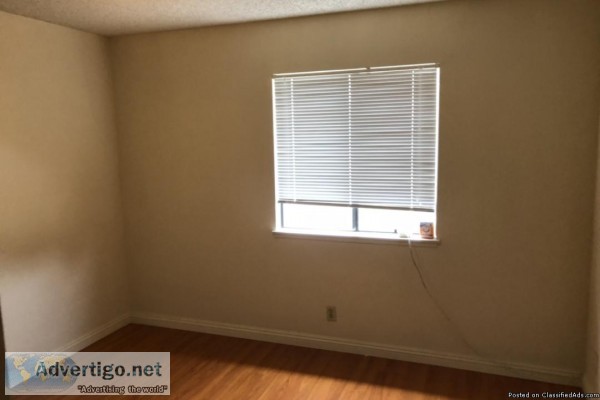 Room for rent