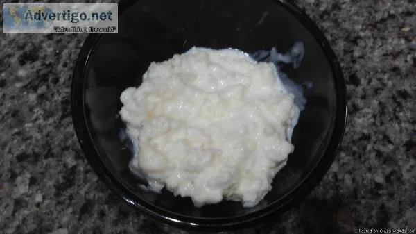 Healthy Cultured Live Kefir