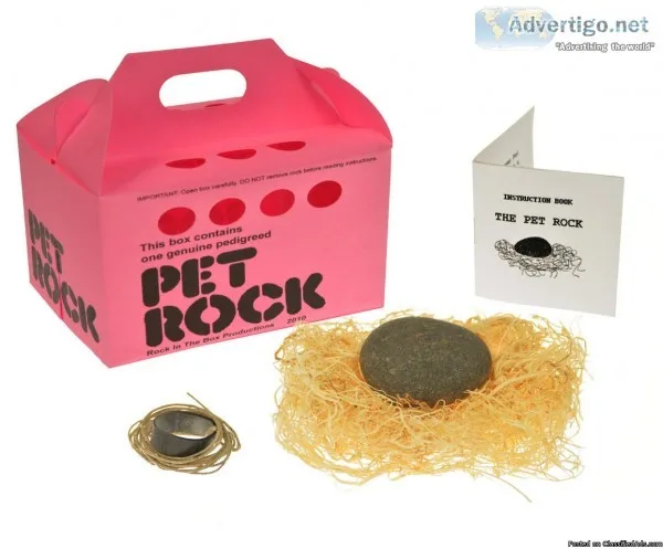 Pet Rocks from the 70s and all sorts of amazing things.