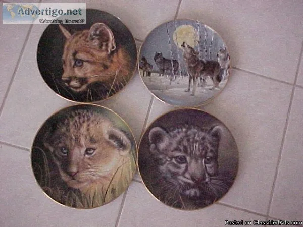 Princeton Gallery Big Cats Plates