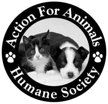 ASSISTANT SHELTER MANAGER
