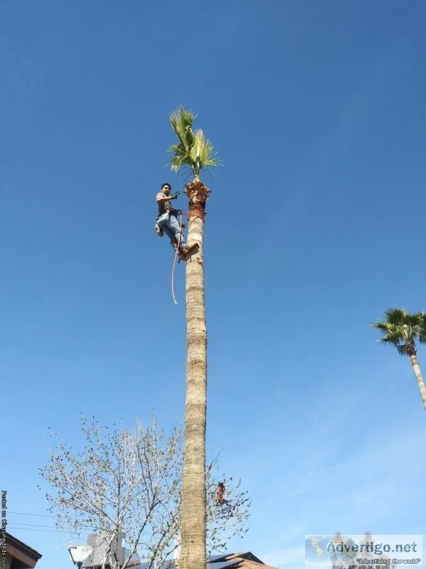 JandR Landscaping-tree service-yard maintenance- rock spreading