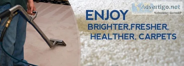 Carpet Shampooing Services in Chandigarh