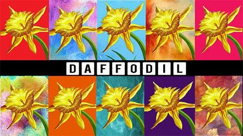 Folsom.Studio 428 Daffodil  Only 30