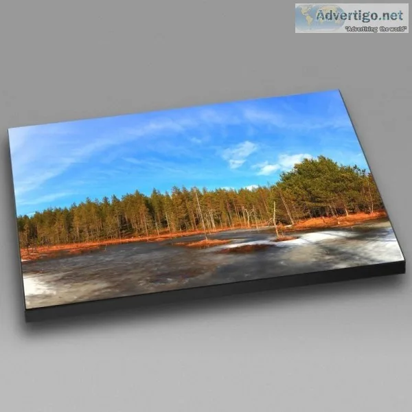 Metal Print  Metal photo prints- Dad&rsquos Printing