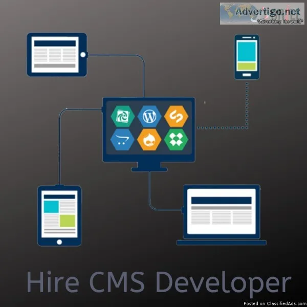 Hire CMS Developer