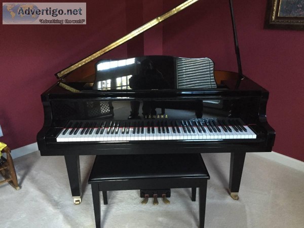  1 Owner Like New Yamaha Baby Grand Piano