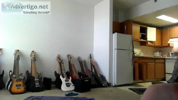 50 electric guitars