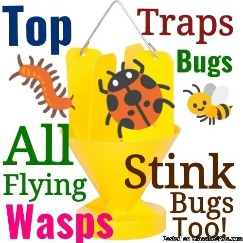 Japaneese  Beetle Bug Traps  various sizes and Styles and Shape