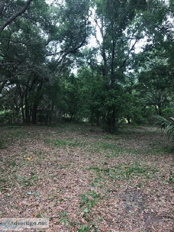 BUILDING LOT