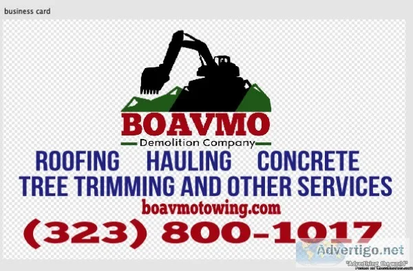 BOAVMO DEMOLITION