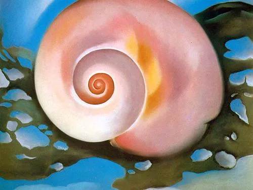Sacramento Studio 713 O Keeffe s Pink Shell