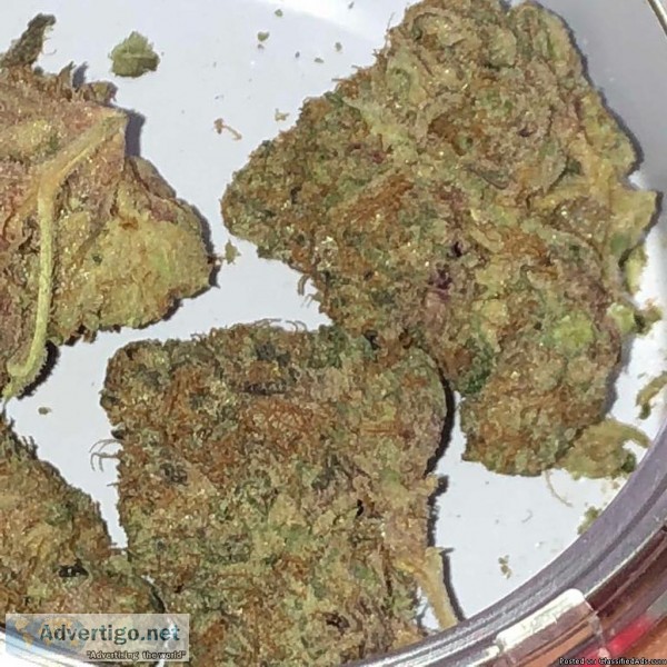 Can bud