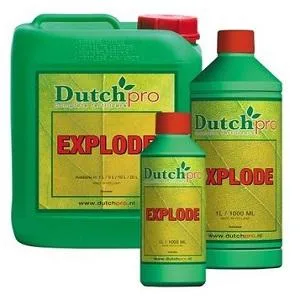 Dutch Pro Explode  Grow-world.co.uk