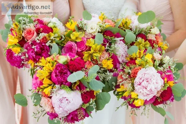 BUYING ONLINE HYDRANGEAS THANKSGIVING AND WEDDING FLOWERS NYC