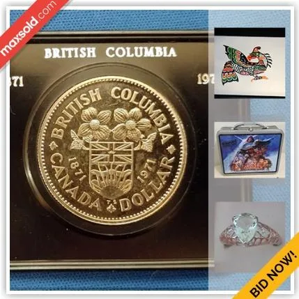 Langley Downsizing Online Auction - 55A Avenue