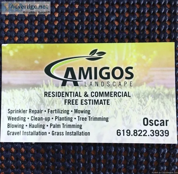 Amigo&rsquos Landscape
