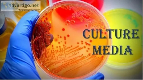 Dehydrated Culture Media India