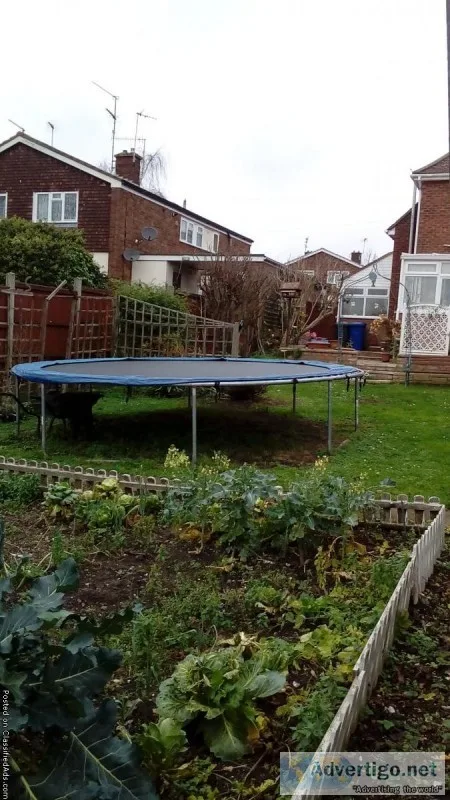 13 ft trampoline