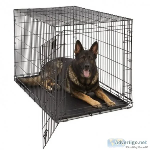Dog training kennel