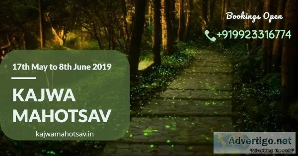 Enjoy this May by Catching the Fireflies at Bhandardara