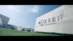 executive mba in india