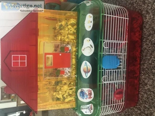 Hamster and cage