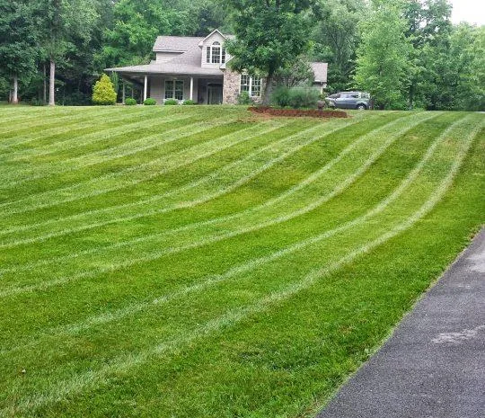Lawn Care Hobart- 0414 885 186
