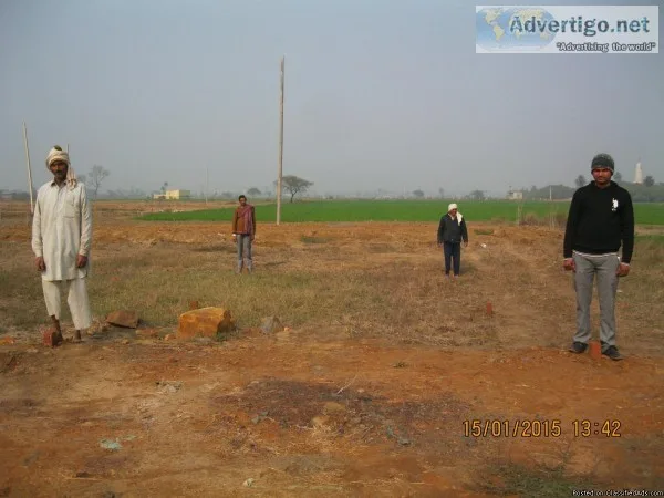 plot for sale